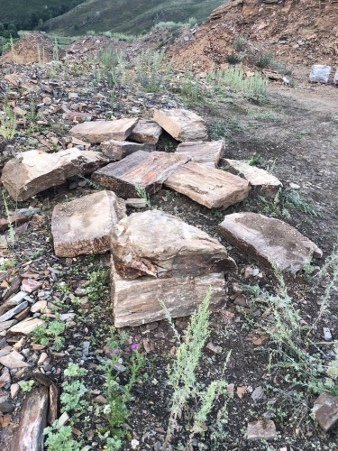 Плитняк кора дерева 50-100мм для пошаговых дорожек купить в Чехову